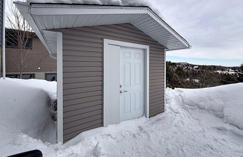 Shed - 71 Rue Henri-Dunant, Sainte-Agathe-Des-Monts, QC - Outdoor With Exterior