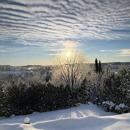 View - 71 Rue Henri-Dunant, Sainte-Agathe-Des-Monts, QC - Outdoor With View