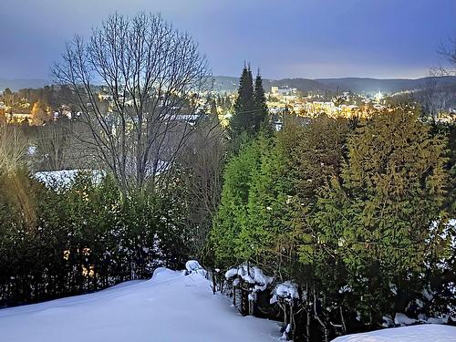 View - 71 Rue Henri-Dunant, Sainte-Agathe-Des-Monts, QC - Outdoor With View