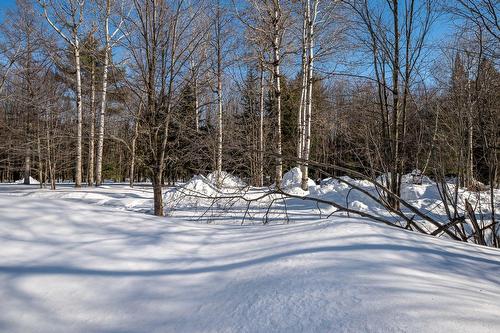 Terre/Terrain - 1826 Boul. St-Antoine, Saint-Jérôme, QC - Outdoor With View