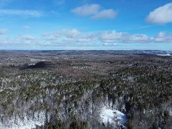 60 Acres Wile Settlement Road  Wile Settlement, NS B0N 2T0
