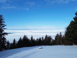 3166 Highway 19  Craigmore, NS B0E 1P0