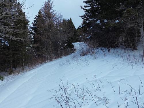 3166 Highway 19, Craigmore, NS 