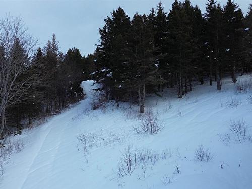 3166 Highway 19, Craigmore, NS 