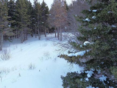3166 Highway 19, Craigmore, NS 