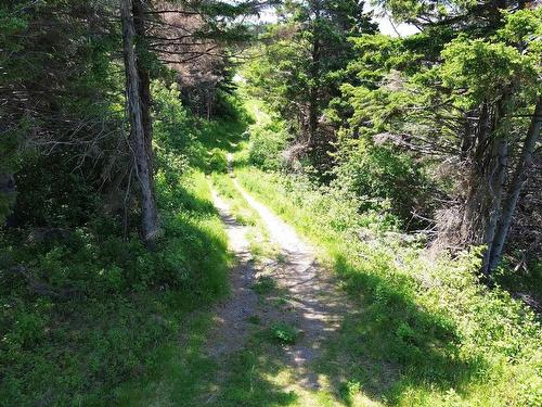 3166 Highway 19, Craigmore, NS 
