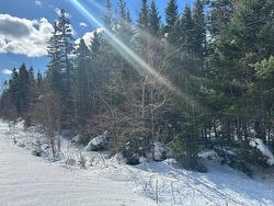 21 Doris Lane  Kempt Road, NS B0E 1J0