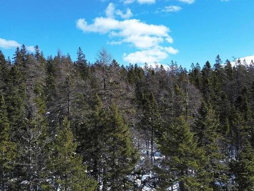 21 Doris Lane, Kempt Road, NS 