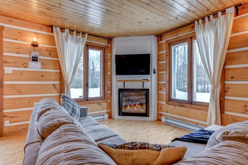 Salon - 1160 Ch. Francisco, Rivière-Rouge, QC - Indoor Photo Showing Living Room With Fireplace