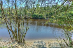 Bord de l'eau - 