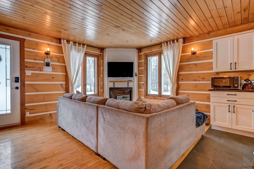 Salon - 1160 Ch. Francisco, Rivière-Rouge, QC - Indoor Photo Showing Living Room With Fireplace