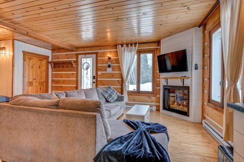 Salon - 1160 Ch. Francisco, Rivière-Rouge, QC - Indoor Photo Showing Living Room With Fireplace