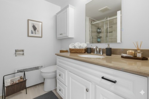 Autre - 1-3095 Rue Arthur-Houle, Longueuil (Saint-Hubert), QC - Indoor Photo Showing Bathroom