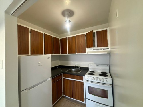 Cuisine - 311-950 Av. Ste-Croix, Montréal (Saint-Laurent), QC - Indoor Photo Showing Kitchen