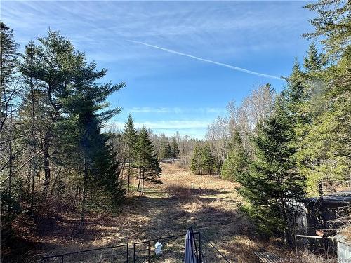 15 Dorn Ridge Rd, Burtts Corner, NB 