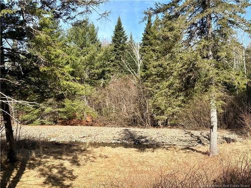 15 Dorn Ridge Rd, Burtts Corner, NB 