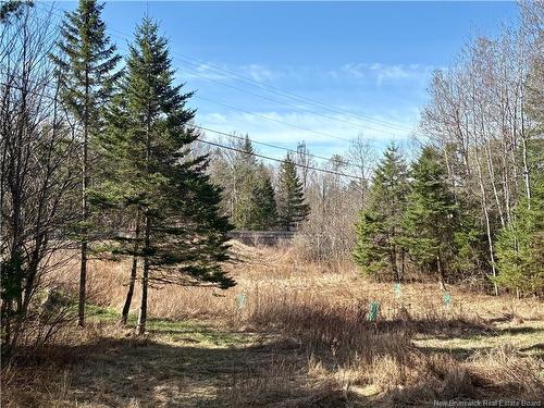 15 Dorn Ridge Rd, Burtts Corner, NB 