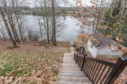 Lot - 