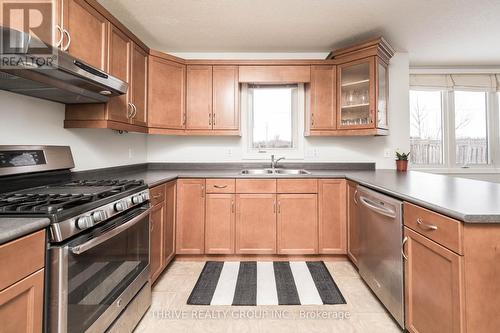 53 Brookside Drive, St. Thomas, ON - Indoor Photo Showing Kitchen With Double Sink