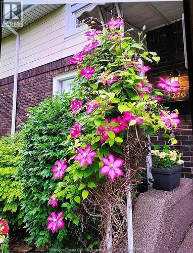1276 Argyle, Windsor, ON - Outdoor