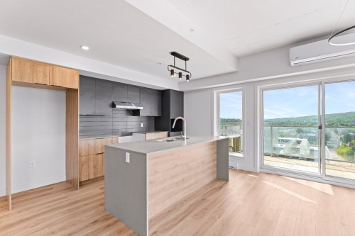 Kitchen - 812-60  - 70 Rue Wellington S., Sherbrooke (Les Nations), QC - Indoor Photo Showing Kitchen