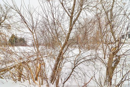 Extérieur - 10075 Boul. Lévesque E., Laval (Saint-François), QC - Outdoor