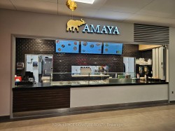 600 University Avenue Toronto, ON M5G 1X5