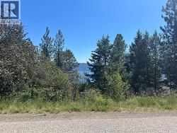 10523 Westshore Road  Vernon, BC V1H 2B2