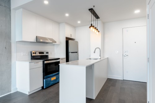 Cuisine - 1008-7070 Boul. Newman, Montréal (Lasalle), QC - Indoor Photo Showing Kitchen