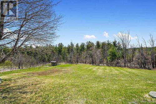 110 Davis Road, Alnwick/Haldimand, ON - Outdoor With View