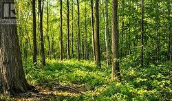 49 CEDAR SANDS ROAD  Rideau Lakes, ON K0E 1N0