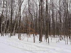 49 CEDAR SANDS ROAD  Rideau Lakes, ON K0E 1N0