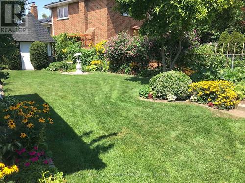 Summer Backyard - 4085 Twine Crescent, Mississauga, ON - Outdoor