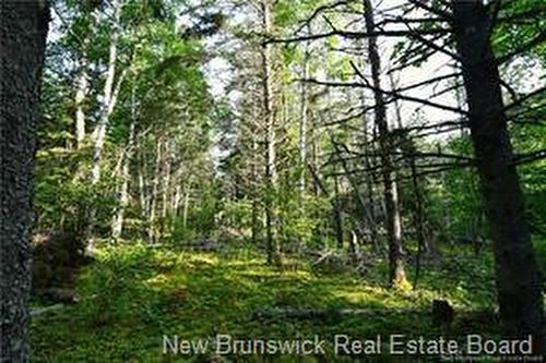 - Welshpool Back Rd, Campobello, NB 