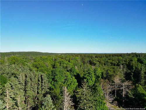 - Welshpool Back Rd, Campobello, NB 