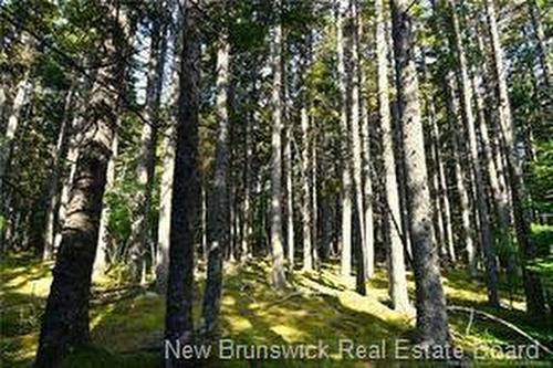 - Welshpool Back Rd, Campobello, NB 