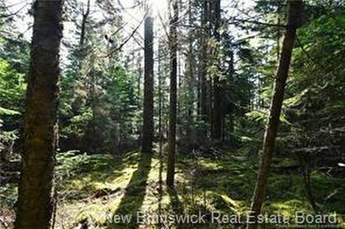 - Welshpool Back Rd, Campobello, NB 