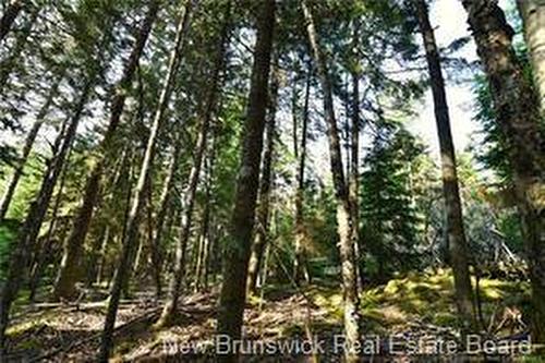 - Welshpool Back Rd, Campobello, NB 