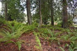 201 Grantville St  Salt Spring, BC V8K 1P1