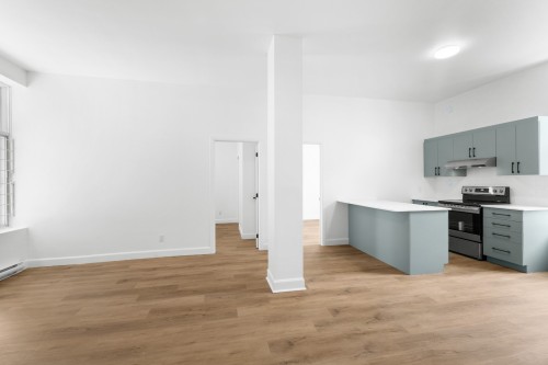 Salon - 2-4495 Av. Papineau, Montréal (Le Plateau-Mont-Royal), QC - Indoor Photo Showing Kitchen