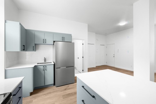 Cuisine - 2-4495 Av. Papineau, Montréal (Le Plateau-Mont-Royal), QC - Indoor Photo Showing Kitchen