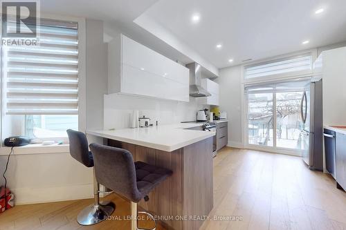 223 Manning Avenue, Toronto, ON - Indoor Photo Showing Kitchen With Upgraded Kitchen