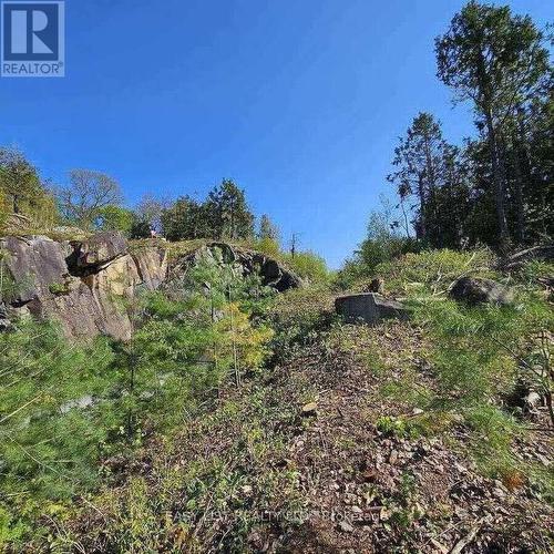 26 Fox Farm Road, Mckellar, ON 