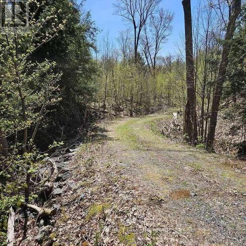 26 Fox Farm Road, Mckellar, ON 