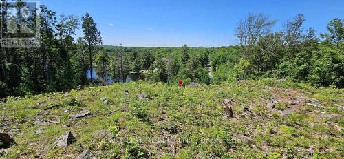 26 Fox Farm Road, Mckellar, ON 