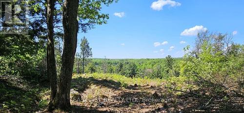 26 Fox Farm Road, Mckellar, ON 