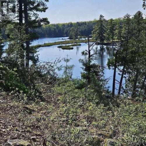 26 Fox Farm Road, Mckellar, ON 