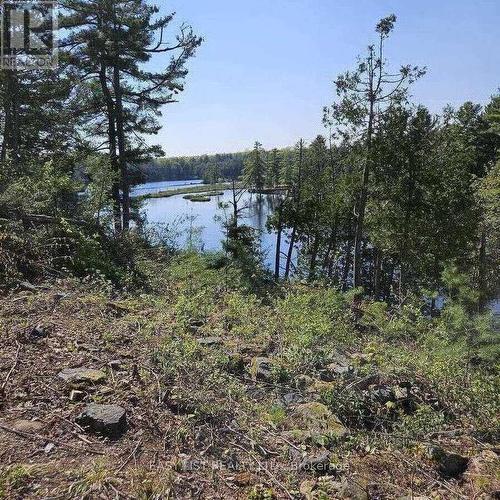 26 Fox Farm Road, Mckellar, ON 