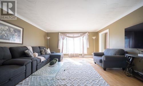385 Mount Pleasant Road, Brantford, ON - Indoor Photo Showing Living Room