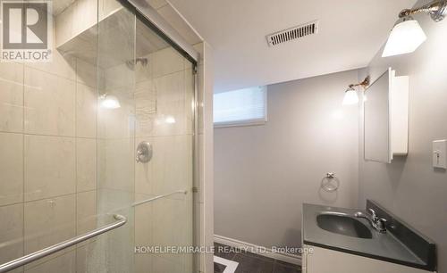 385 Mount Pleasant Road, Brantford, ON - Indoor Photo Showing Bathroom